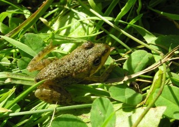 EijsderBeemden09 011