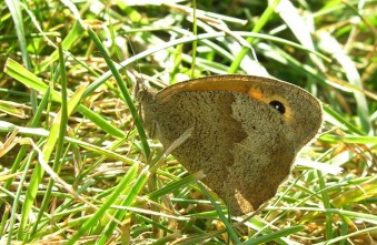 EijsderBeemden09 030