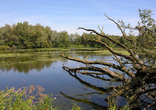 EijsderBeemden09 056