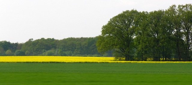 5mei.dagtrip.Eifel 073-1