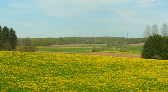 5mei.dagtrip.Eifel 066