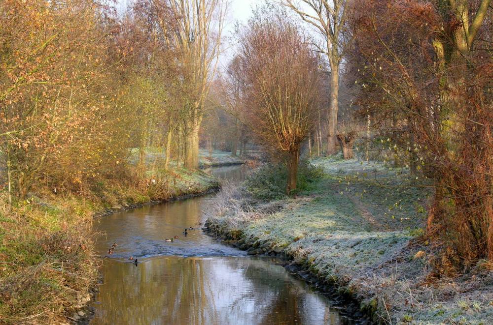 Geleenbeek
