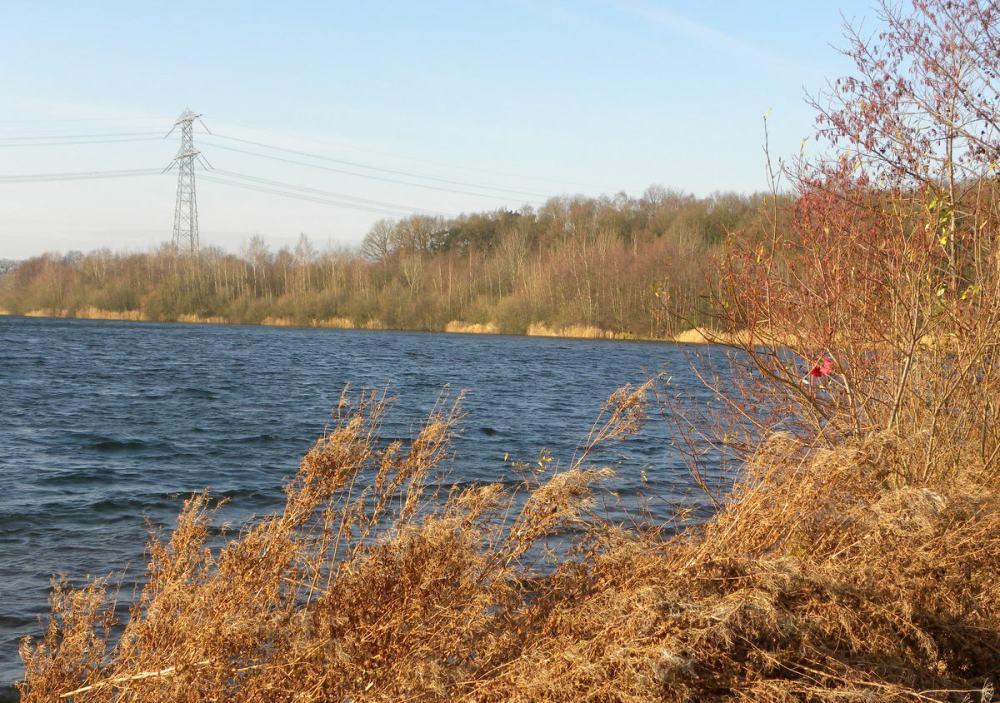wind over bosmolenplas