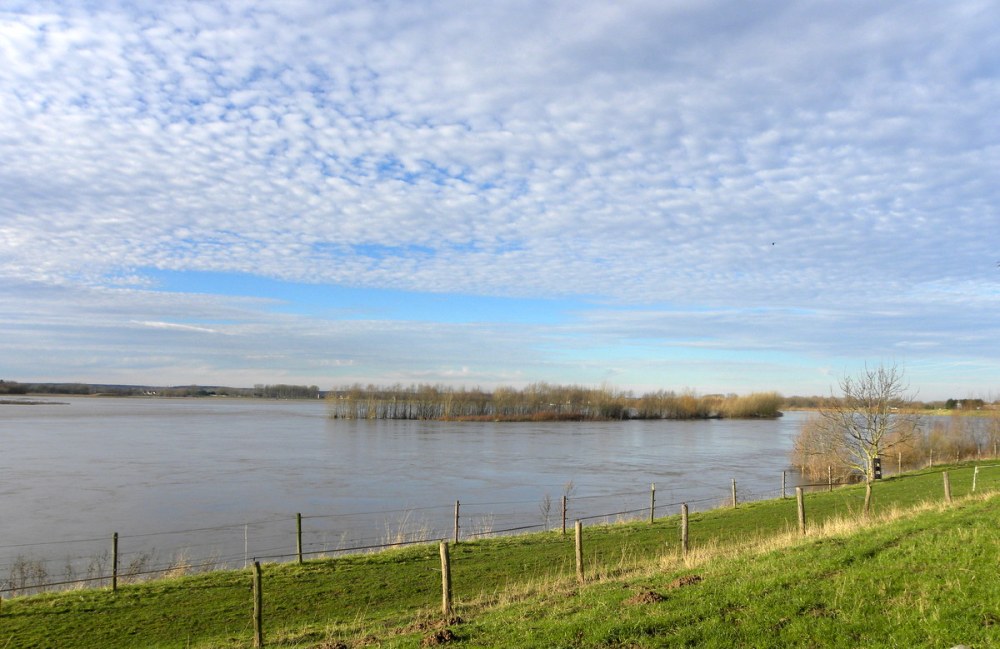 Maas bij Obbicht