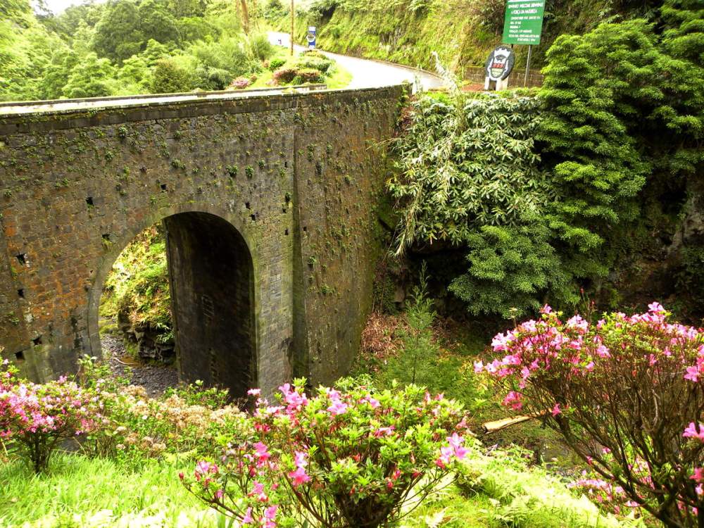 AzorenSaoMiguel.9april2013 091