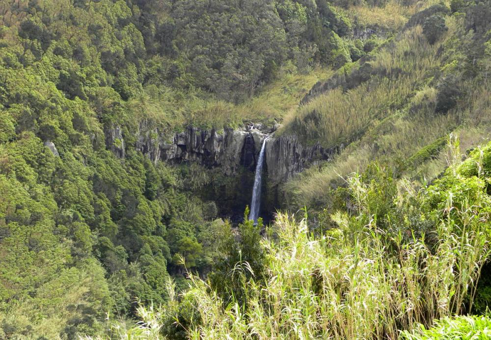AzorenSaoMiguel.9april2013 113