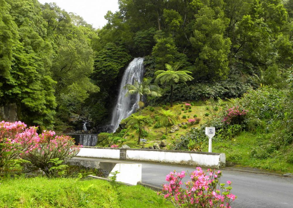 AzorenSaoMiguel.9april2013 129