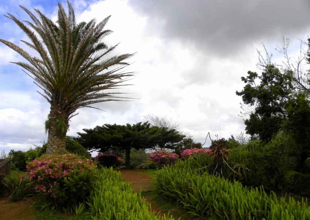 AzorenSaoMiguel.9april2013 165