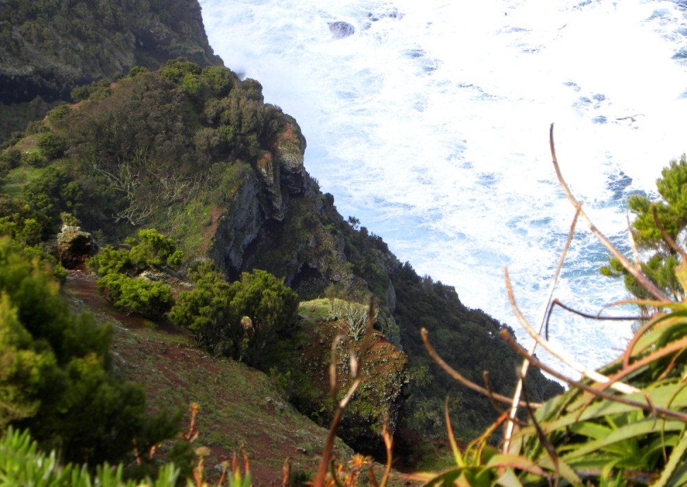 AzorenSaoMiguel.10april2013 016