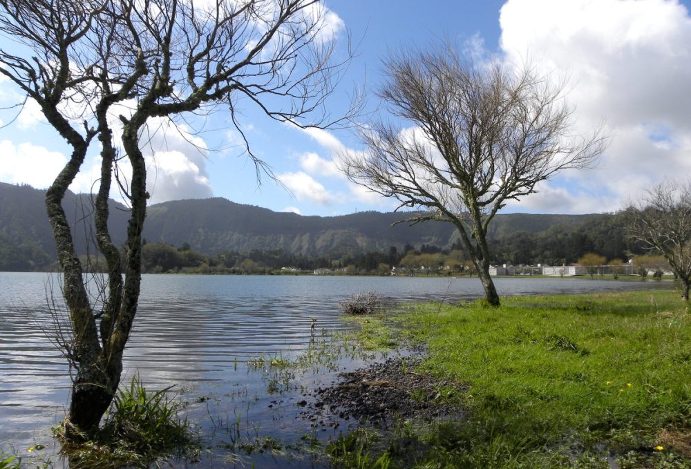 AzorenSaoMiguel.10april2013 046