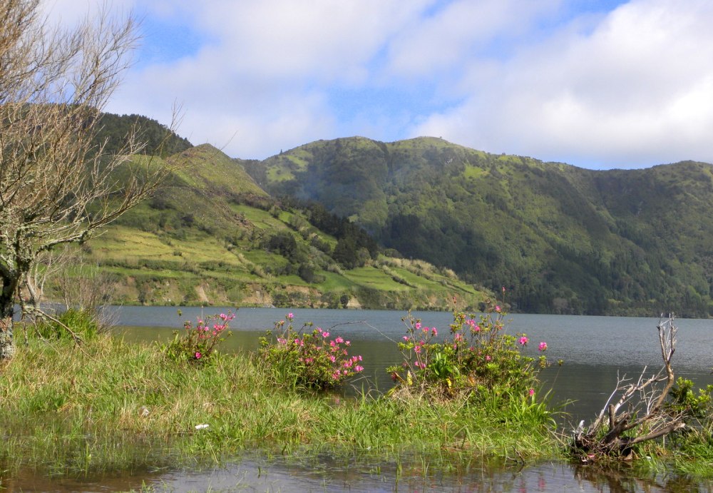 AzorenSaoMiguel.10april2013 049
