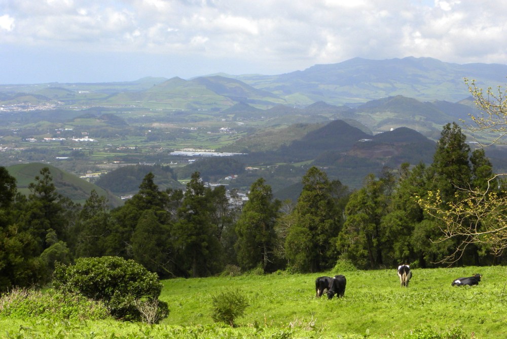 AzorenSaoMiguel.10april2013 104
