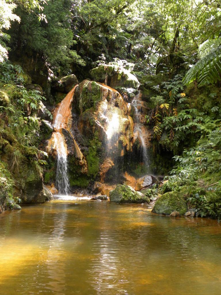 AzorenSaoMiguel.10april2013 168