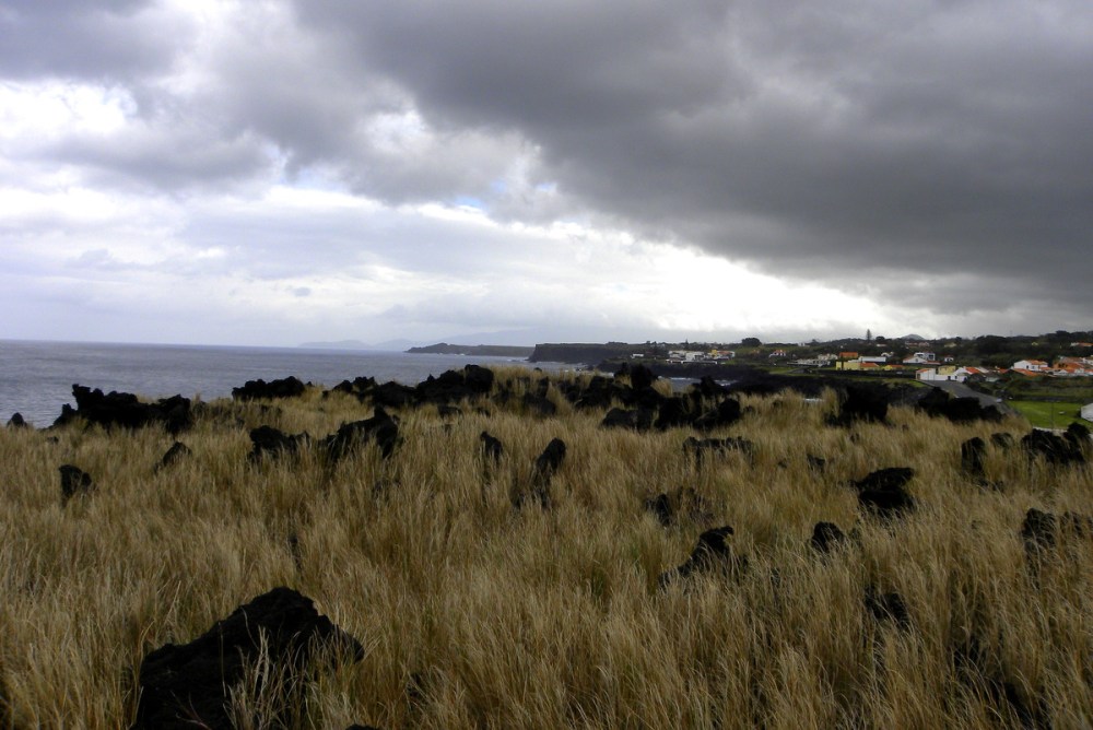 AzorenSaoMiguel.11april2013 017