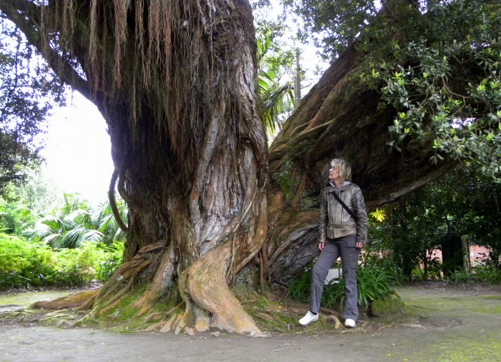 AzorenSaoMiguel.12april2013 056