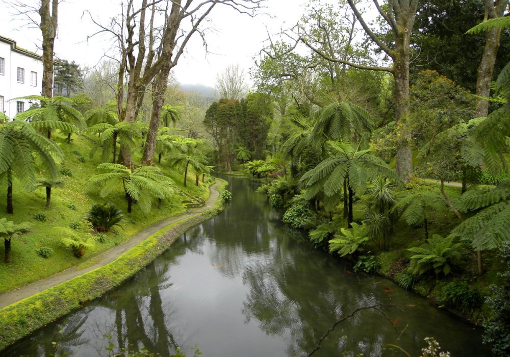 AzorenSaoMiguel.12april2013 071