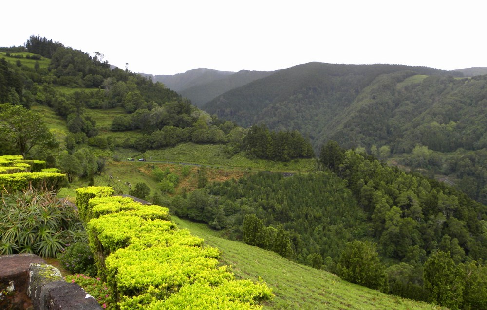 AzorenSaoMiguel.13april2013 004