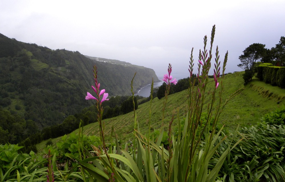 AzorenSaoMiguel.13april2013 010