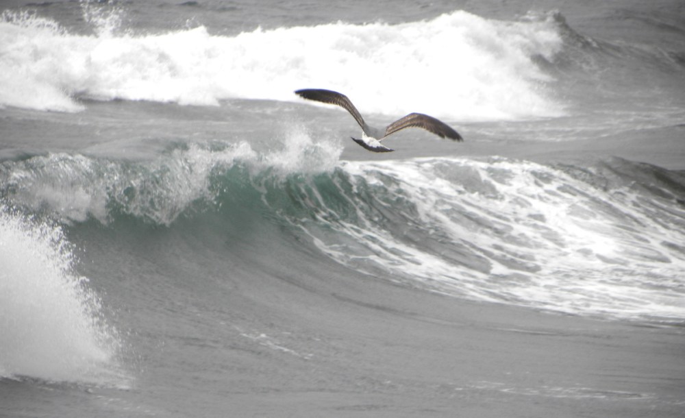 AzorenSaoMiguel.13april2013 046-001