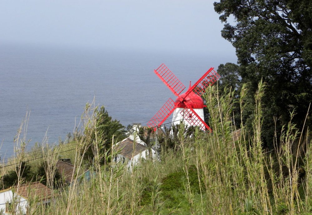 AzorenSaoMiguel.14april2013 084