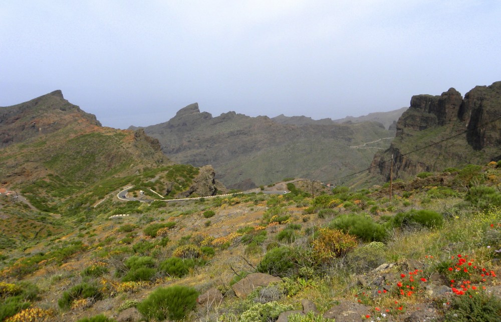 Tenerife 21april2013 011