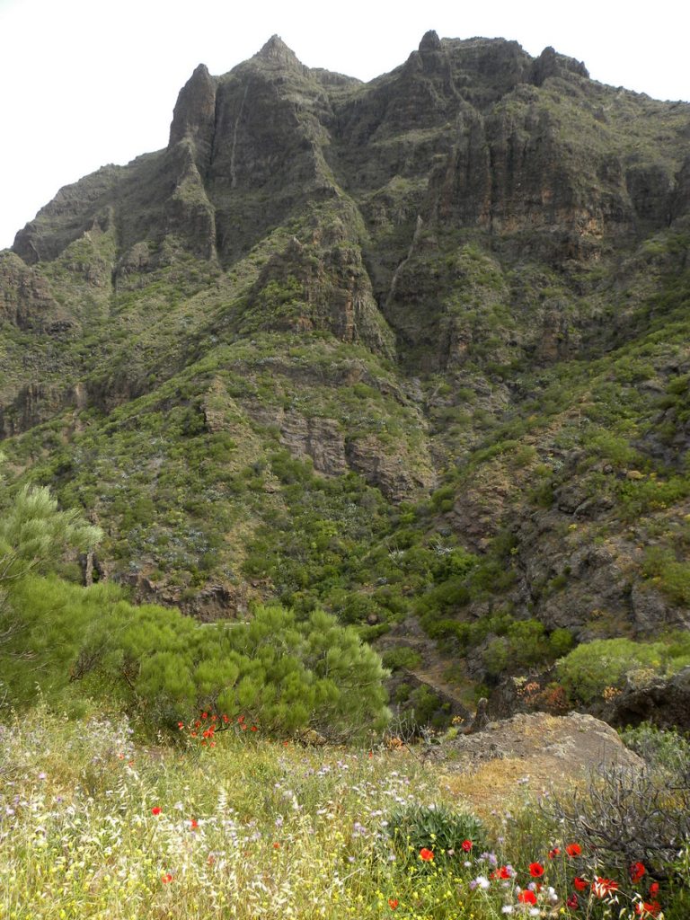 Tenerife 21april2013 021