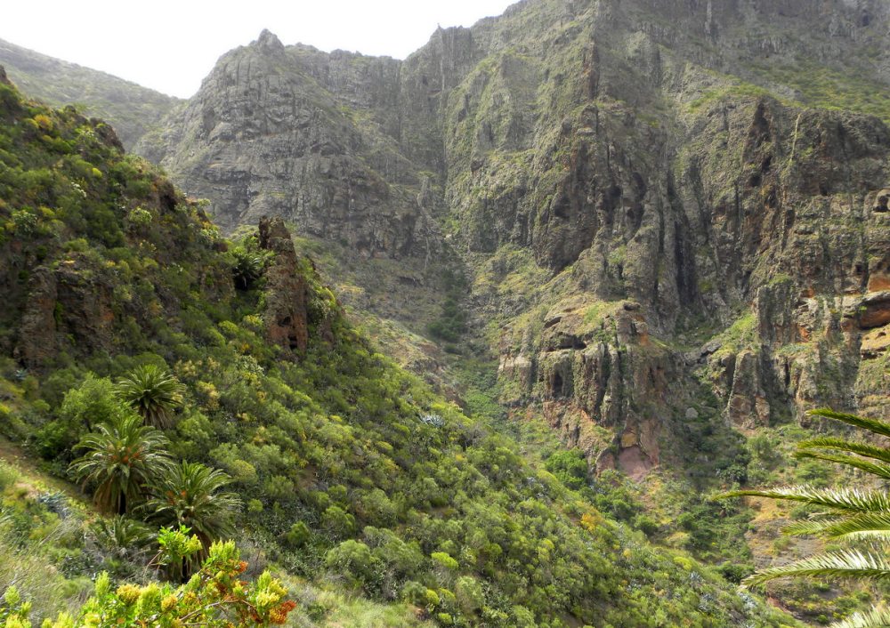 Tenerife 21april2013 036