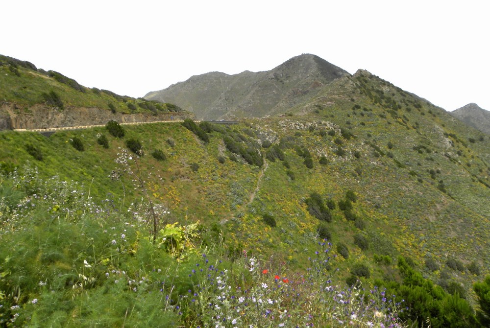 Tenerife 21april2013 055