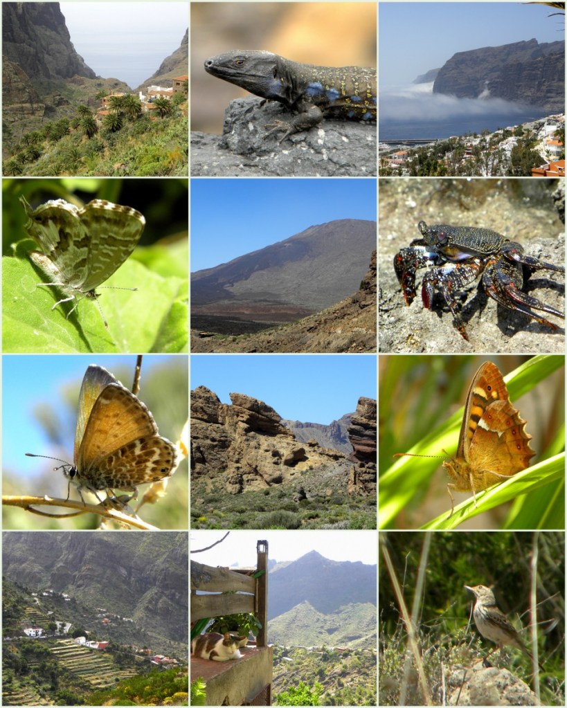 Tenerife 21april2013