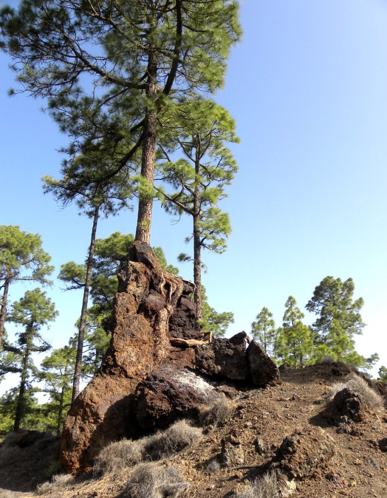 Tenerife 22april2013 009