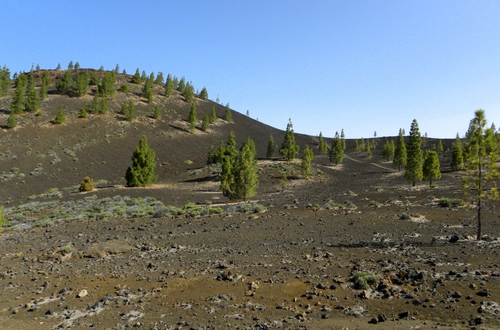 Tenerife 22april2013 024