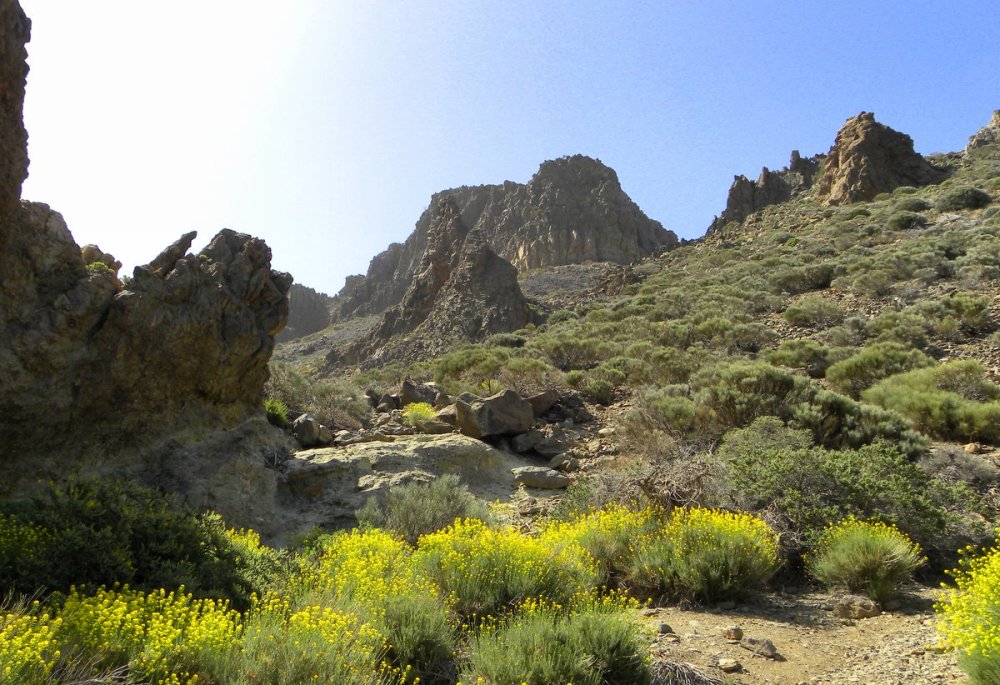 Tenerife 22april2013 061