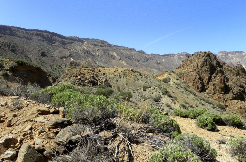 Tenerife 22april2013 080