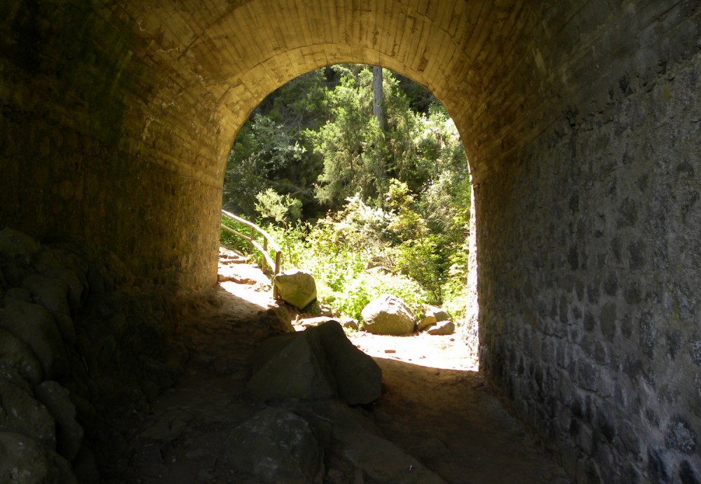 Tenerife 22april2013 103