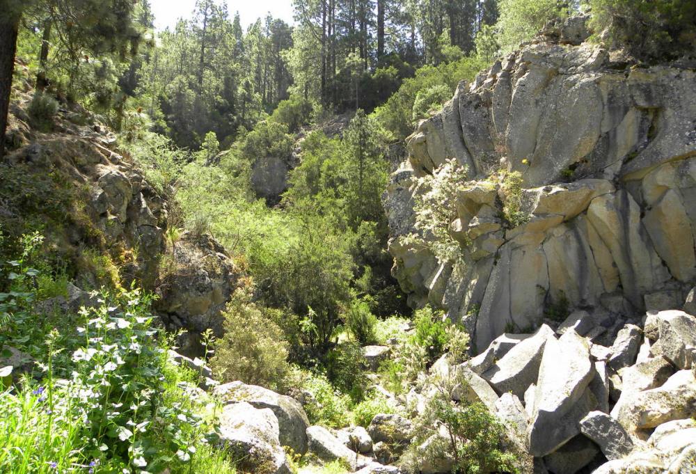 Tenerife 22april2013 106