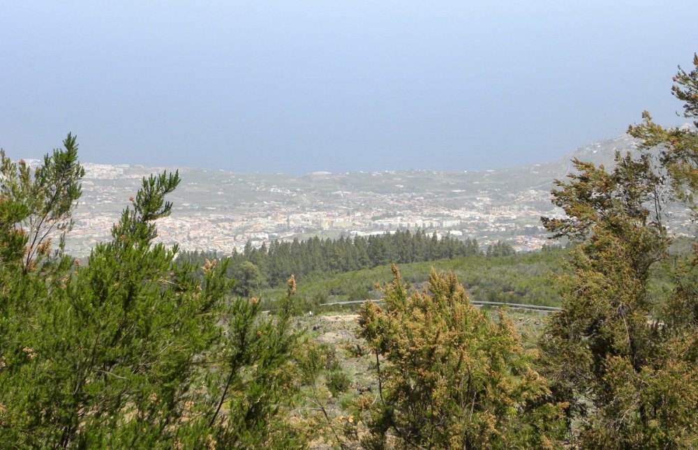 Tenerife 22april2013 112