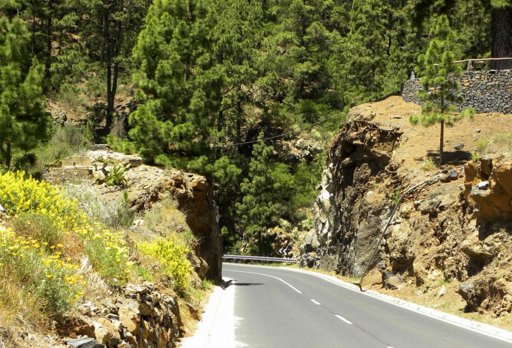 Tenerife 23april2013 061