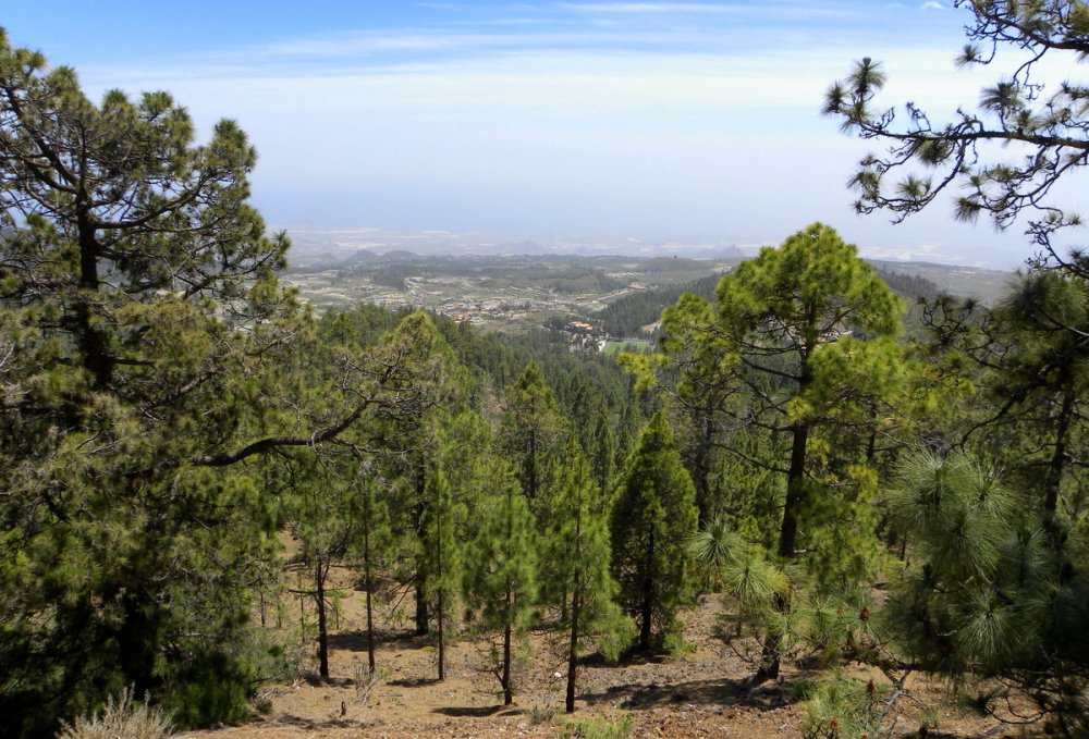 Tenerife 23april2013 082