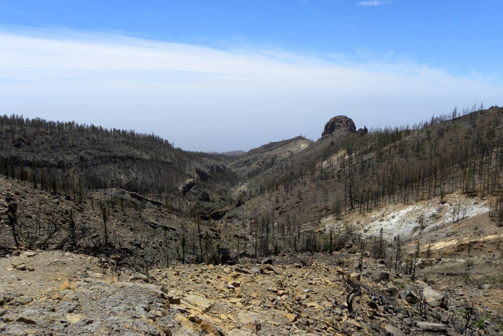 Tenerife 23april2013 087