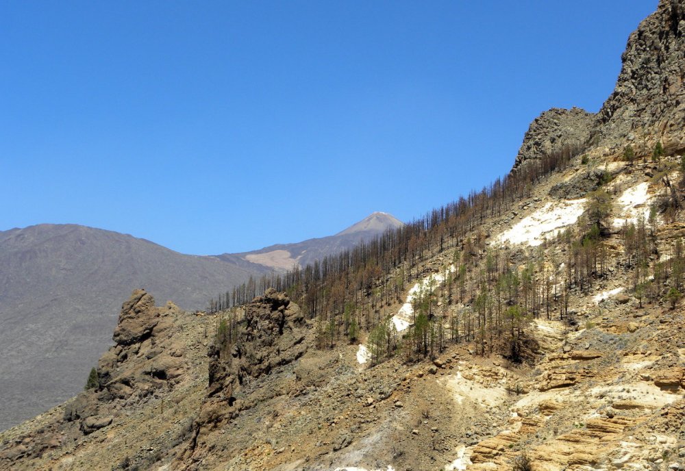 Tenerife 23april2013 092