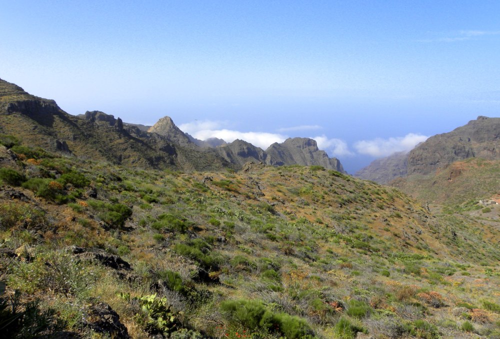 Tenerife 24april2013 006
