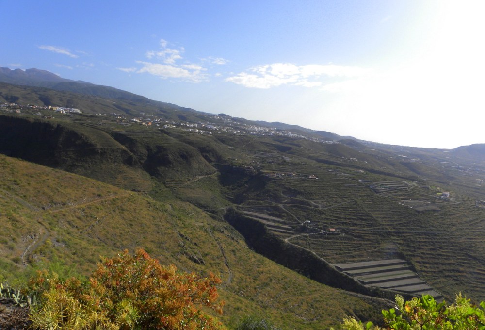 Tenerife 25april2013 006