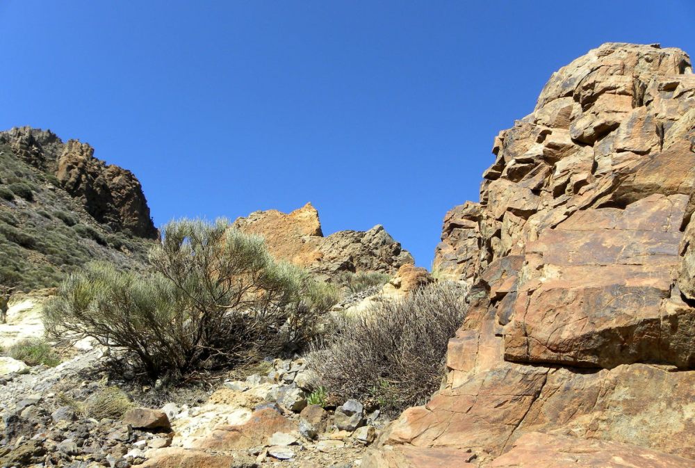 Tenerife 25april2013 016