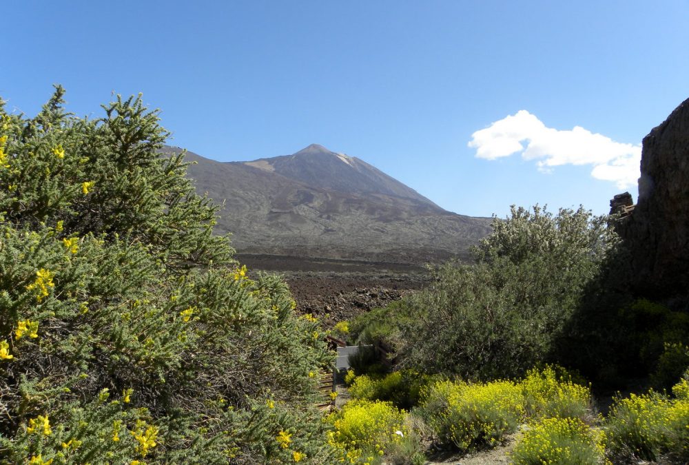 Tenerife 25april2013 038