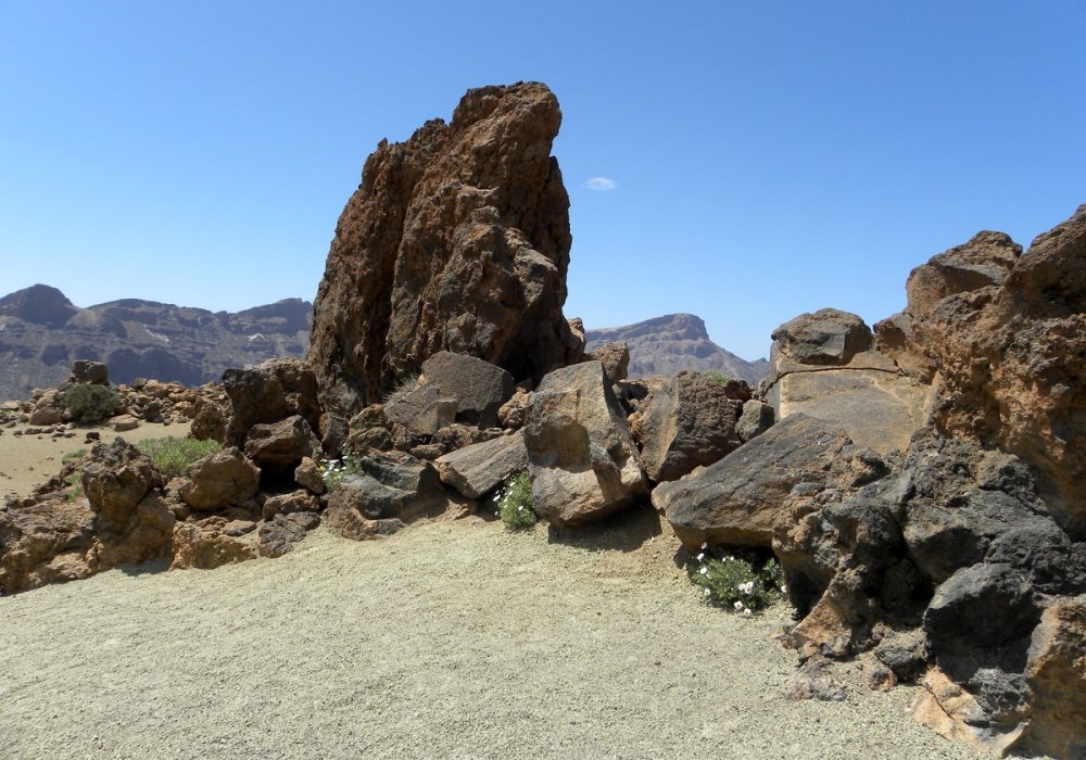 Tenerife 25april2013 075