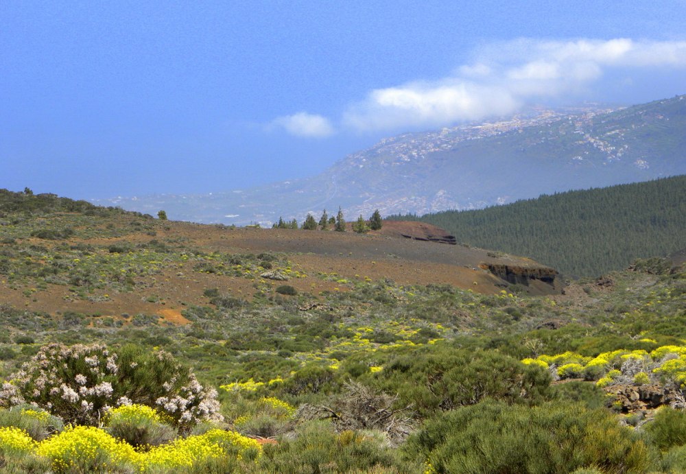 Tenerife 25april2013 091