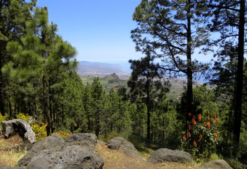 Tenerife 25april2013 102