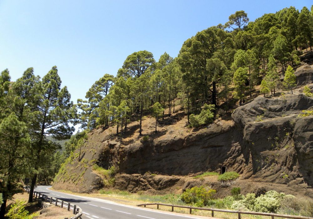 Tenerife 25april2013 108