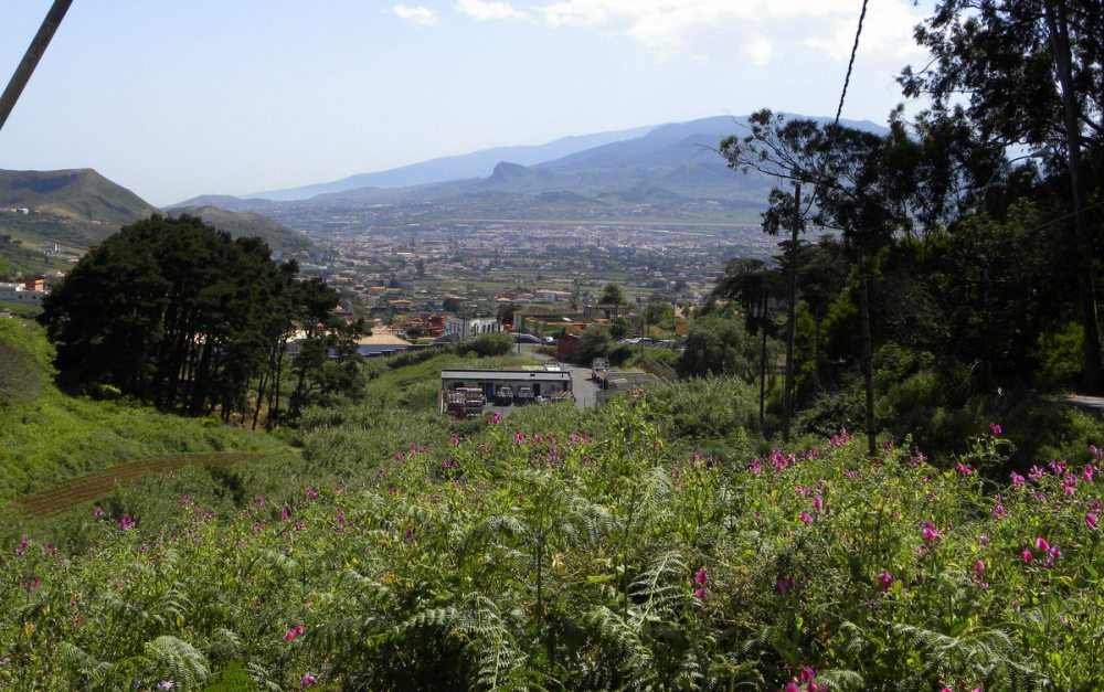 Tenerife 25april2013 130