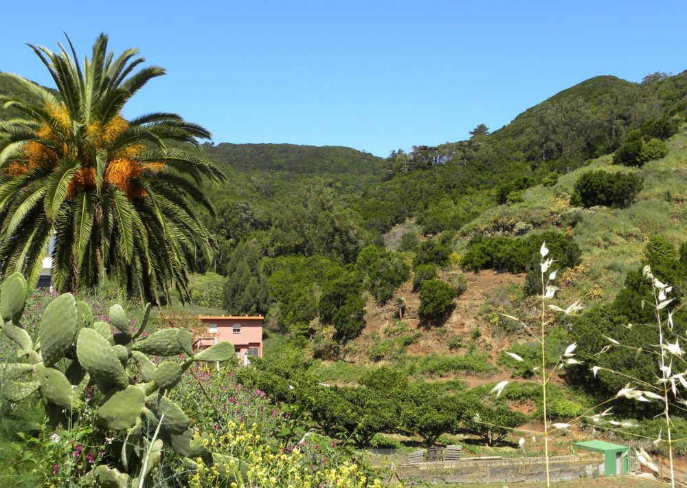 Tenerife 25april2013 131